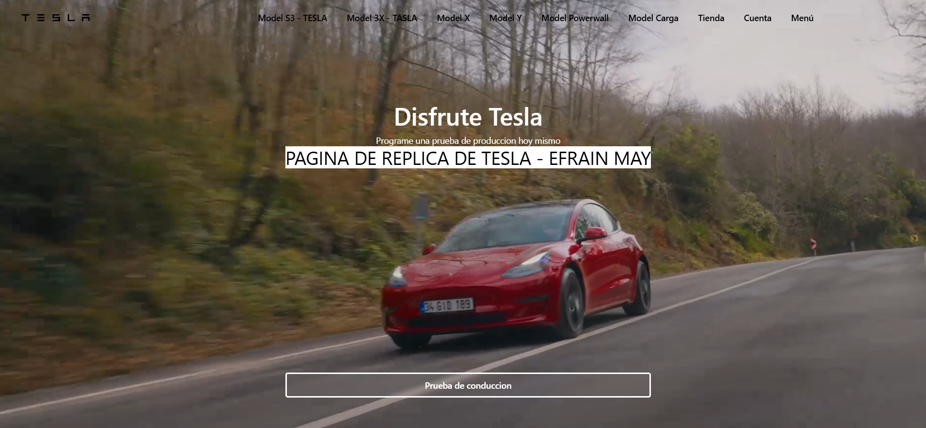 Clon Web de Tesla